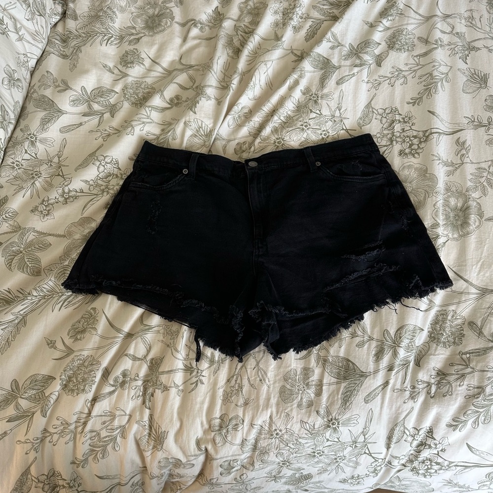 Black Distressed Women's Denim Shorts